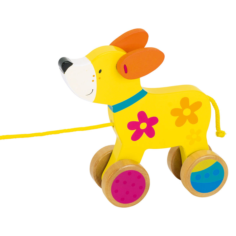 Susibelle Trekdier Hond