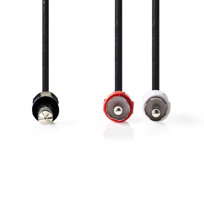 Nedis CAGP23300BK20 Stereo-audiokabel 6,35 Mm Male - 2x Rca Male 2,0 M Zwart