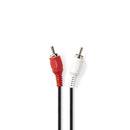 Nedis CAGP24200BK30 Stereo-audiokabel 2x Rca Male - 2x Rca Male 3,0 M Zwart