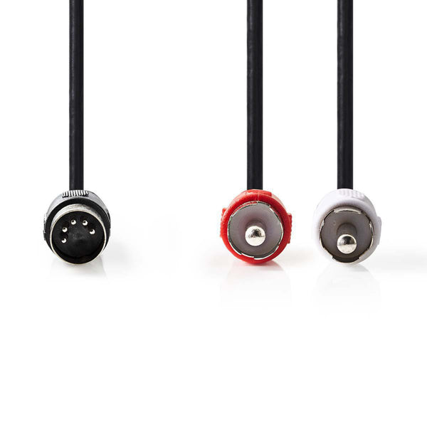 Nedis CAGP20200BK10 Din-audiokabel Din 5-pins Male - 2x Rca Male 1,0 M Zwart