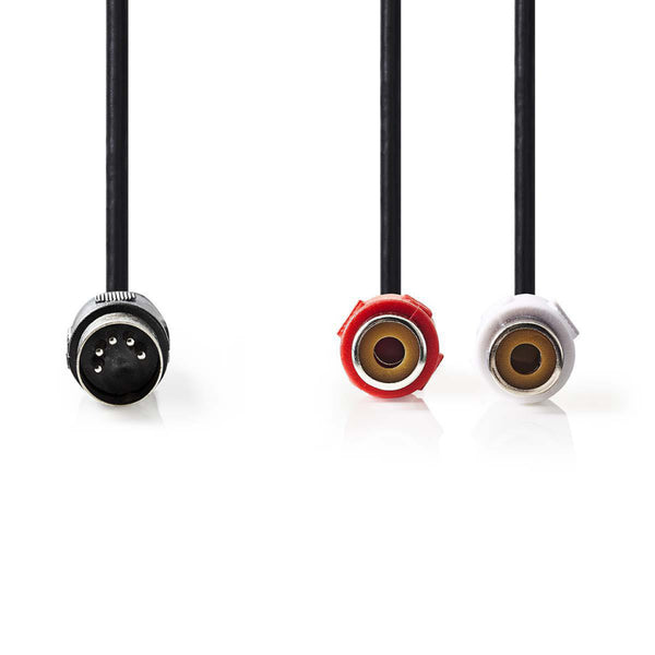 Nedis CAGP20250BK02 Din-audiokabel Din 5-pins Male - 2x Rca Female 0,2 M Zwart