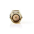 Nedis CSGP02110GD Sma-adapter Sma Male (omgekeerde Polariteit) - Sma Male 2 Stuks Goud