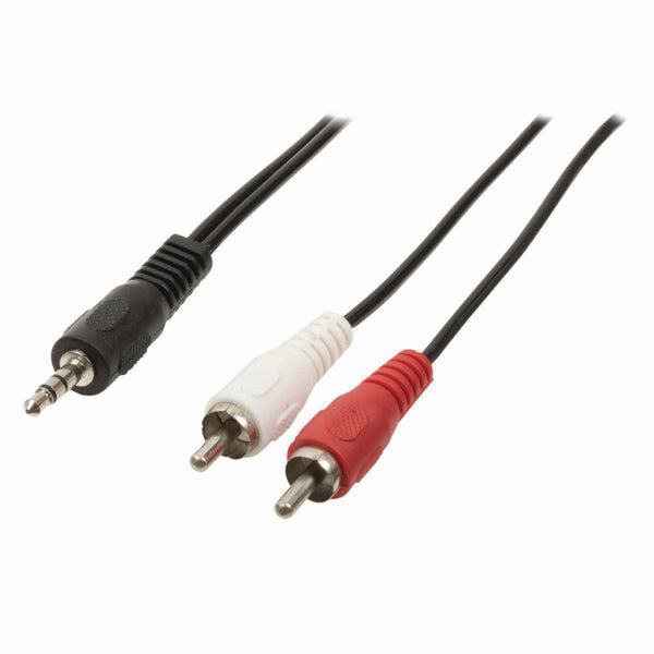 Nedis CAGB22200BK100 Stereo-audiokabel 3,5 Mm Male - 2x Rca Male 10 M Zwart