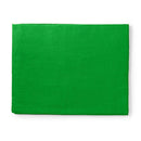 Nedis BDRP33GN Achtergronddoek Voor Fotostudio 2,95 X 2,95 M Groen