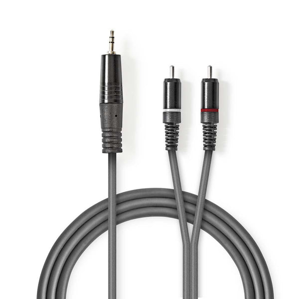 Nedis COTH22200GY30 Stereo-audiokabel 3,5 Mm Male 2x Rca Male Vernikkeld 3.00 M Rond Donkergrijs Ka