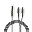 Nedis COTH22200GY50 Stereo Audiokabel 3,5 Mm Male - 2x Rca Male 5,0 M Grijs