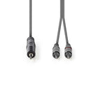 Nedis COTH22200GY50 Stereo Audiokabel 3,5 Mm Male - 2x Rca Male 5,0 M Grijs