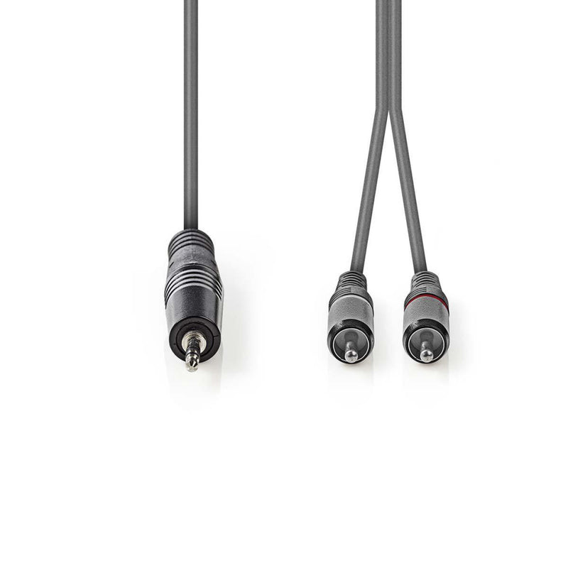 Nedis COTH22200GY50 Stereo Audiokabel 3,5 Mm Male - 2x Rca Male 5,0 M Grijs