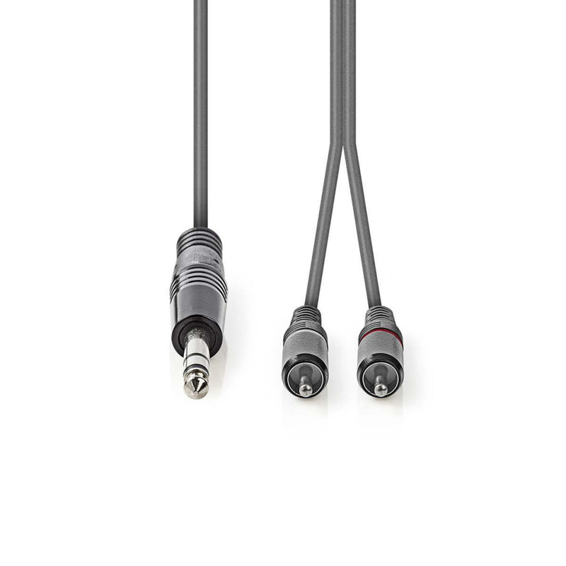 Nedis COTH23300GY30 Stereo Audiokabel 6,35 Mm Male - 2x Rca Male 3,0 M Grijs