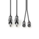 Nedis COTH23320GY30 Stereo Audiokabel 2x 6,35 Mm Male - 2x Rca Male 3,0 M Grijs