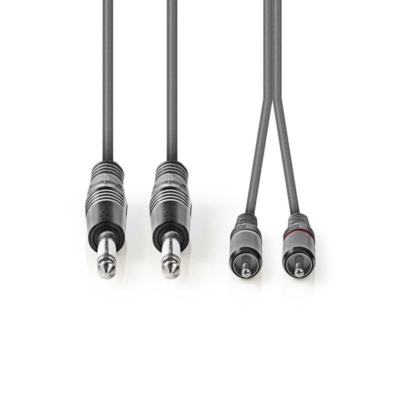 Nedis COTH23320GY30 Stereo Audiokabel 2x 6,35 Mm Male - 2x Rca Male 3,0 M Grijs