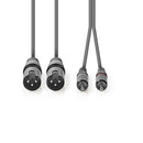 Nedis COTH15210GY30 Xlr-audiokabel 2x Xlr 3-pins Male - 2x Rca Male 3,0 M Grijs