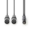 Nedis COTH15310GY30 Xlr-audiokabel 2x Xlr 3-pins Male - 3,5 Mm Male 3,0 M Grijs