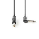 Nedis COTH23005GY30 Ongebalanceerde Audiokabel 6,35 Mm Male - 6,35 Mm Male Haaks 3,0 M Grijs