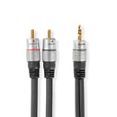 Nedis CAGC22200AT50 Stereo-audiokabel 3,5 Mm Male - 2x Rca Male 5,00 M Antraciet