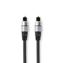Nedis CAGC25000AT25 Optische Audiokabel Toslink Male - Toslink Male 2,50 M Antraciet