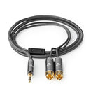 Nedis CATB22200GY20 Stereo-audiokabel 3,5 Mm Male - 2x Rca Male Gun Metal Grey Gevlochten Kabel