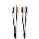 Nedis CATB24200GY30 Stereo-audiokabel 2x Rca Male - 2x Rca Male Gun Metal Grey Gevlochten Kabel