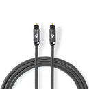 Nedis CATB25000GY30 Digitale Audiokabel Toslink Male - Toslink Male Gun Metal Grey Gevlochten Kabel