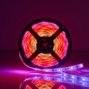 Nedis WIFILS51CRGB Smartlife Gekleurde Led-strip Wi-fi Meerkleurig 5000 Mm Ip65 700 Lm Android&trad