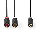 Nedis CABW22255AT10 Stereo-audiokabel 2x Rca Male 3,5 Mm Female Verguld 1.00 M Rond Antraciet Doos