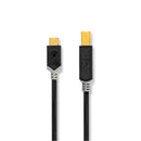 Nedis CCBW60651AT20 Usb-kabel Usb 2.0 Usb-c&trade; Male Usb-b Male 480 Mbps Verguld 2.00 M Rond Pvc