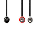 Nedis CAGL20200BK10 Din-audiokabel Din 5-pins Male 2x Rca Male Vernikkeld 1.00 M Rond Pvc Zwart Lab