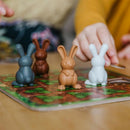 Smart Games Grabbit