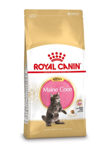 Royal Canin Kitten Maine Coon 4 KG