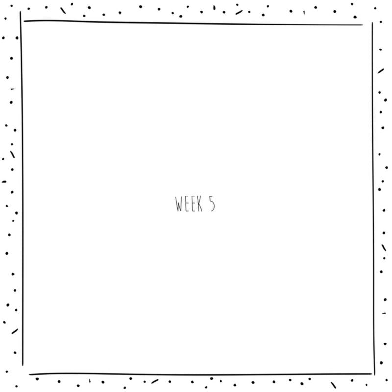 Mijn negen maanden invulboek MINT