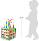 Lente Motoriek Training Kubus