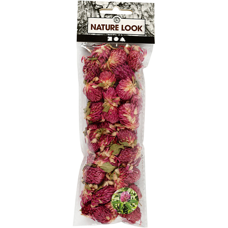Gedroogde Bloemen Rode Klaver Paars, 15gr