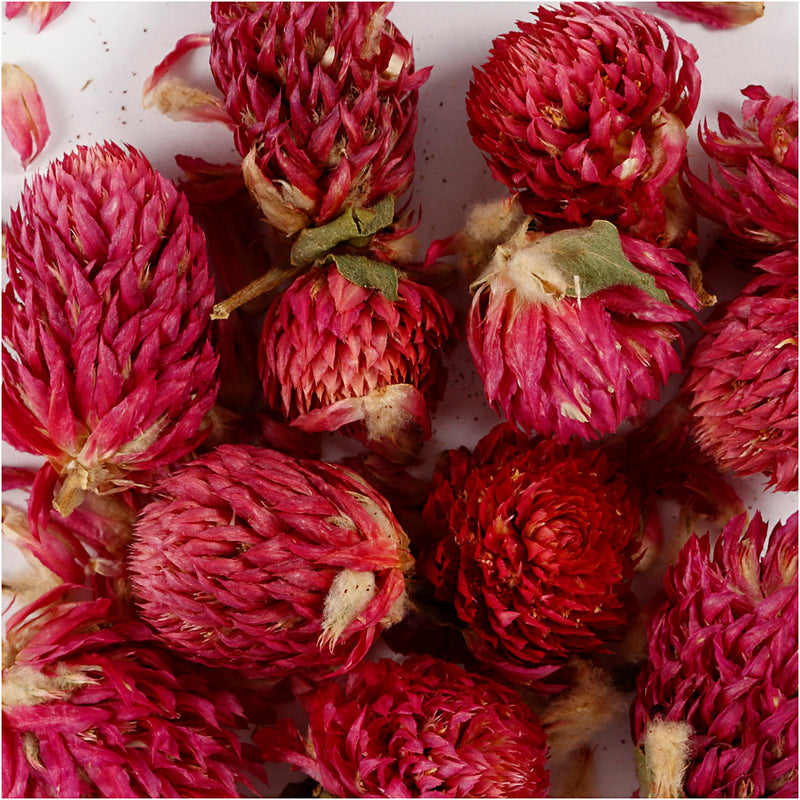 Gedroogde Bloemen Rode Klaver Paars, 15gr