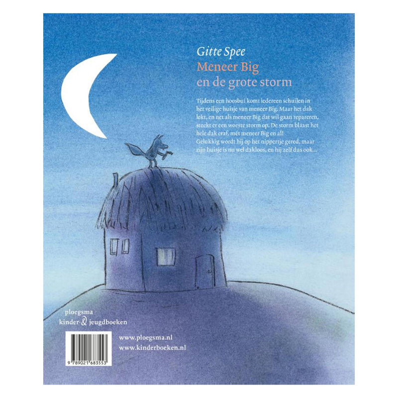 Meneer Big en de grote storm