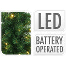 Kerstbomen en kerstkrans met LED - set van 3 stuks
