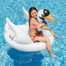 Opblaasbare zwaan  57557NP