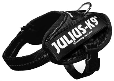 Julius K9 Idc Power-harnas/tuig Voor Labels Zwart BABY 1/30-37 CM