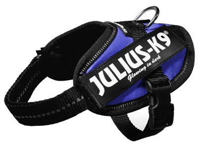 Julius K9 Power-harnas/tuig Voor Labels Blauw BABY 2/33-45 CM