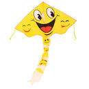 Vlieger Lach, 70x115cm