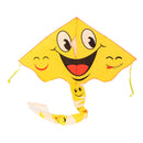 Vlieger Lach, 70x115cm