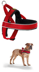 Hunter Harnas Norweger Racing Nylon Rood/zwart SMALL 42-53X2 CM