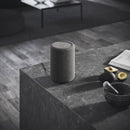 Audio Pro A10 MkII Connected Luidspreker Donker Grijs