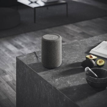 Audio Pro A10 MkII Connected Luidspreker Donker Grijs