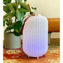 Nikki.Amsterdam The.Lampion M - Multicolor Lamp + Wijnkoeler + Bluetooth Speaker