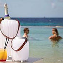 Nikki.Amsterdam The.Lampion XS Bluetooth&reg; Speaker Meerkleurige Lamp + Plantenbak