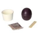 Crystal Dinosaur Growing Kit Spinosaurus