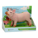 Boerderijdieren XL - Varken