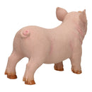 Boerderijdieren XL - Varken