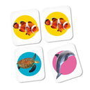 Clementoni Oceaan Memo