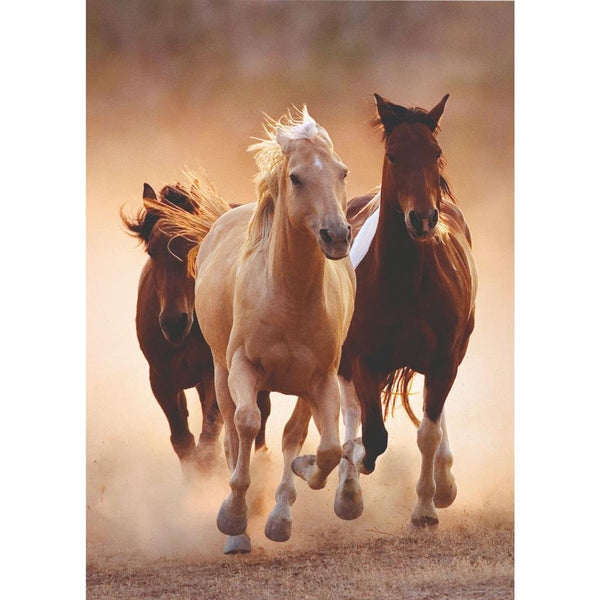 Clementoni Puzzel Paarden, 1000st.